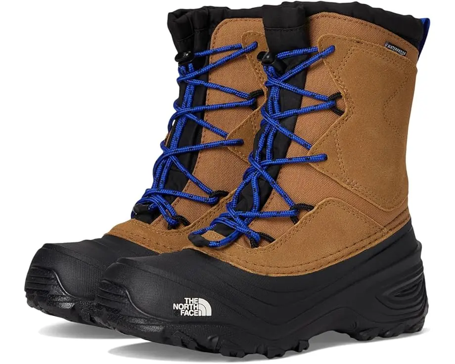 Alpenglow V Waterproof (Youth)