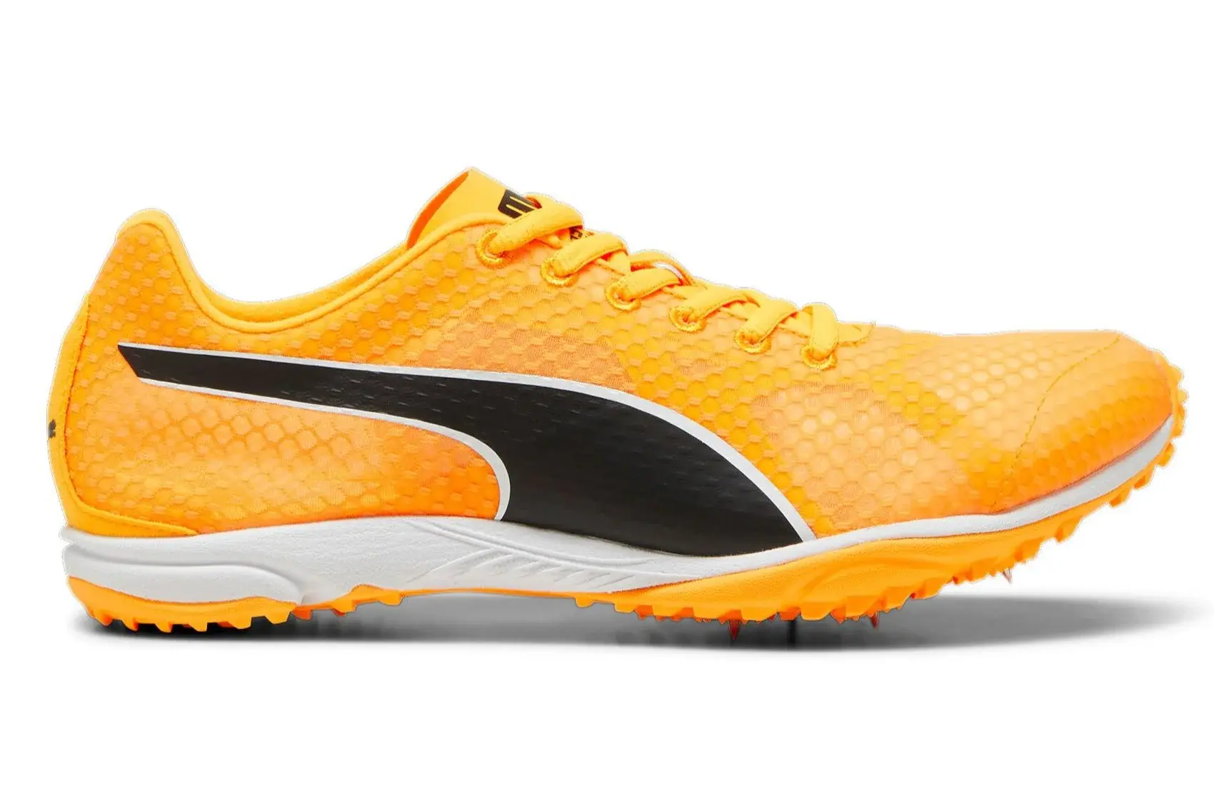 Unisex evoSpeed Harraka 8 Spike