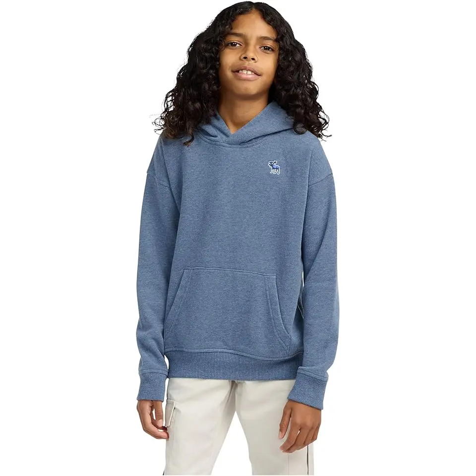 Essentials Fleece Hoodie (Big Kid)