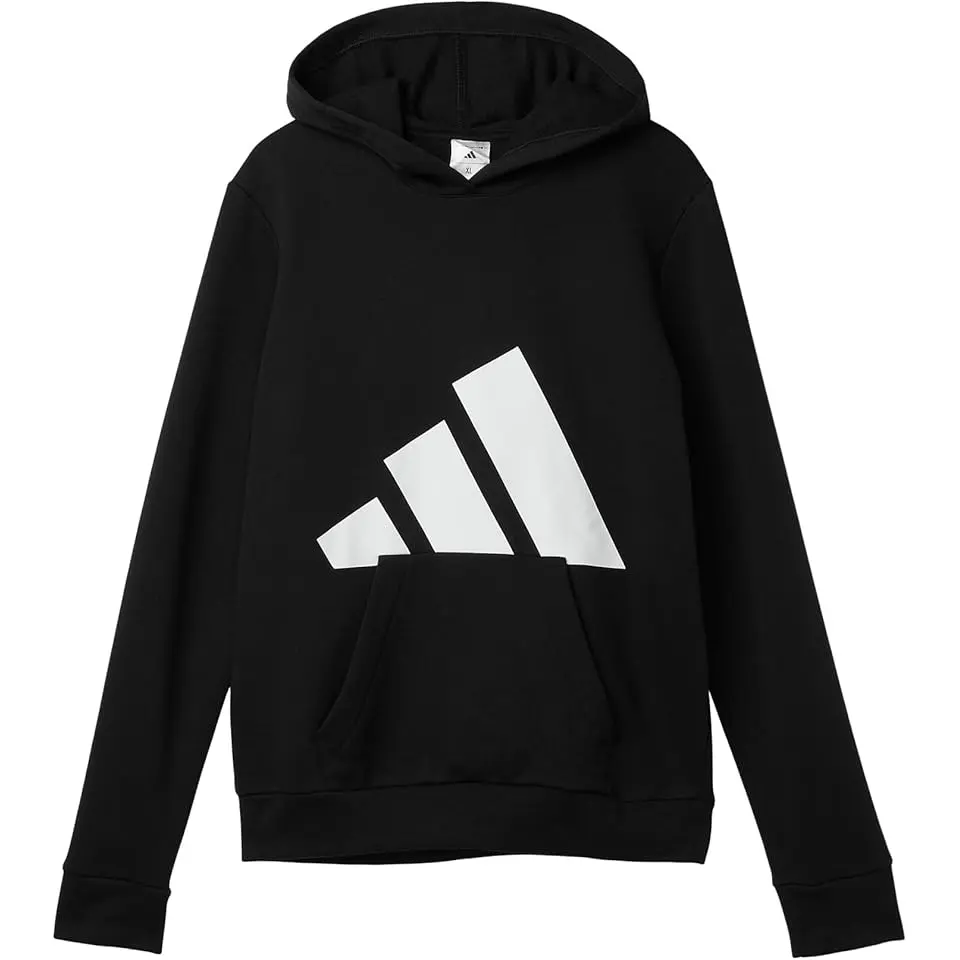 Essential Big Logo Fleece Hooded Pullover (Big Kid)