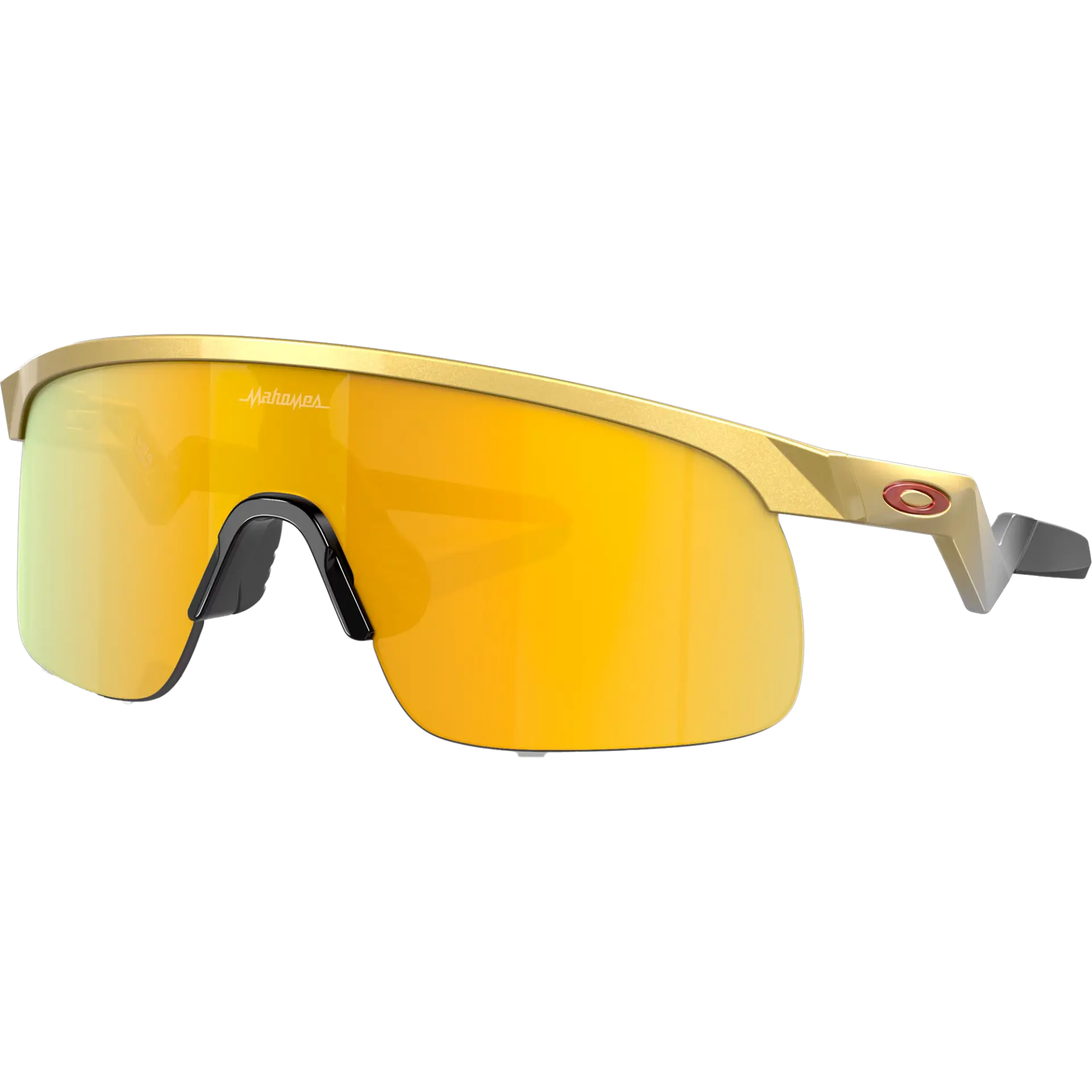 Youth Resistor - Gold/Prizm 24K