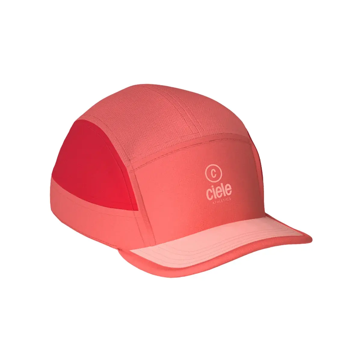 ALZCap