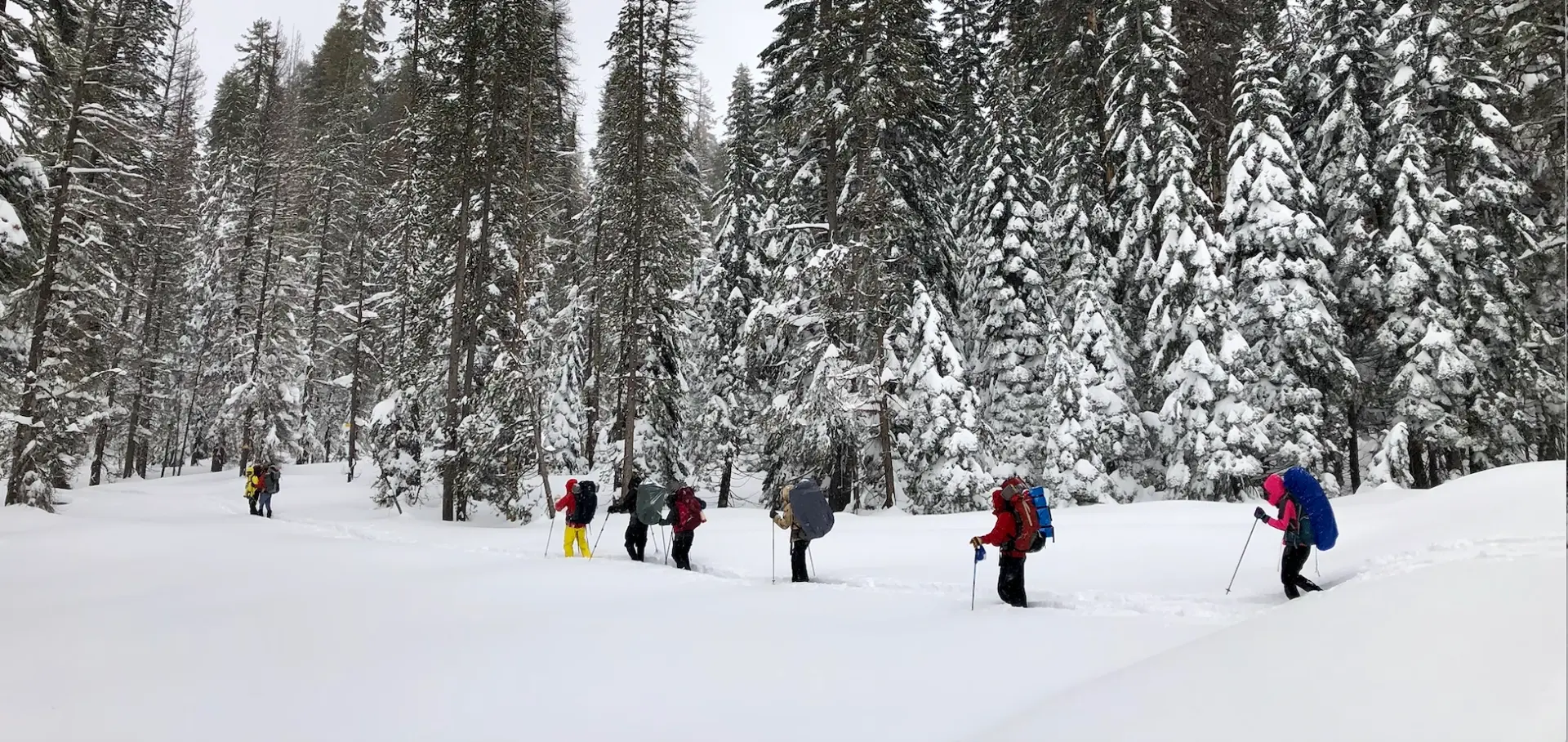 Snowshoeing Yosemite: Tuolumne Grove/Gin Flat Weekend