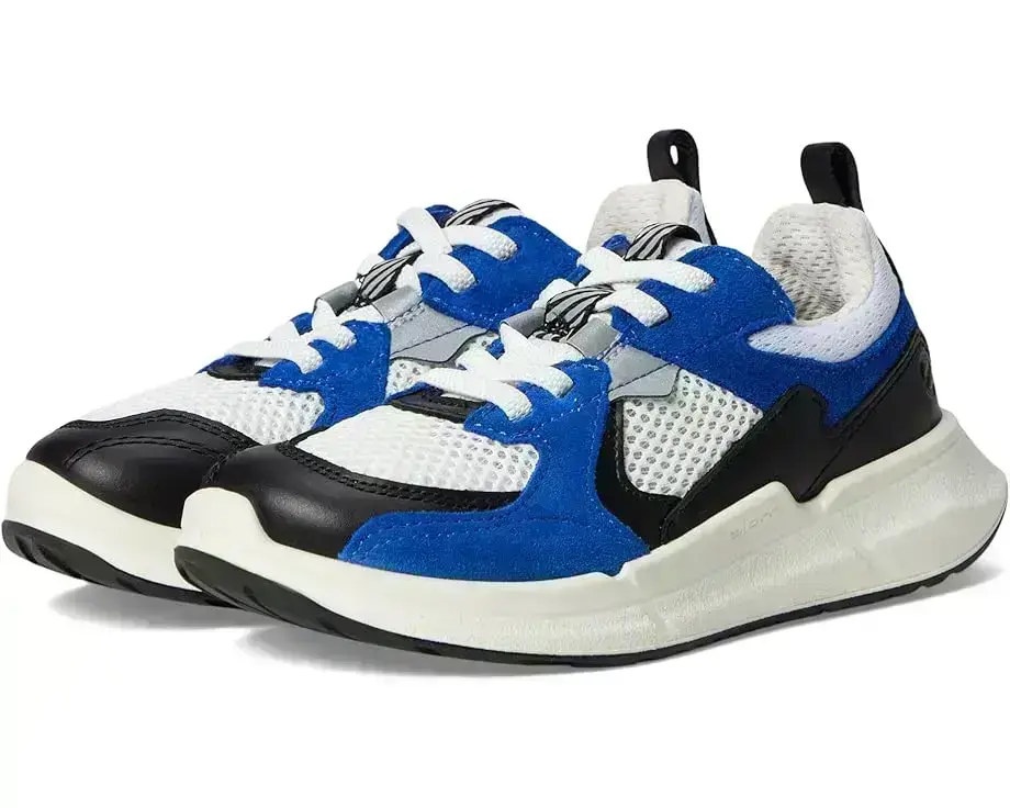 Ecco Kids Ecco Biom 2.2 Sneaker (Toddler/Little Kid/Big Kid)