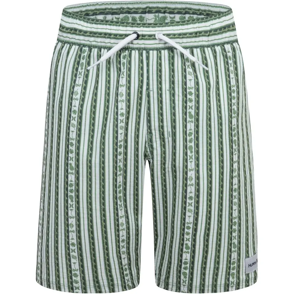 Mini Vacay Stripe Pull On Swim Trunk (Little Kid)