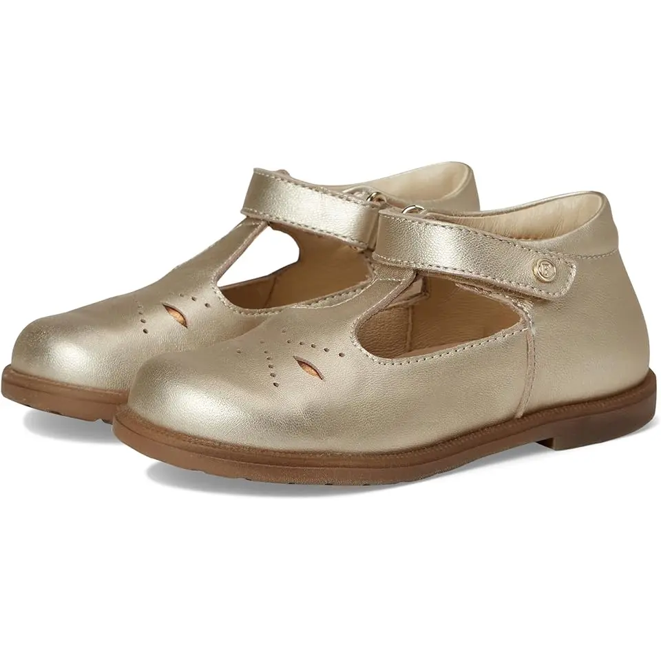 Falcotto Maluku 2 (Toddler)