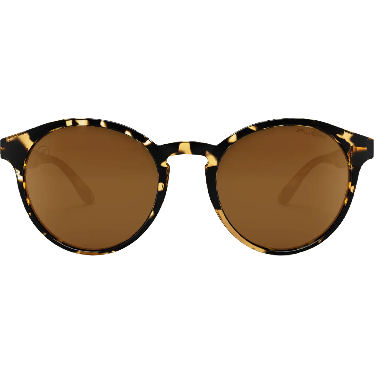Coastal X2 - Tort