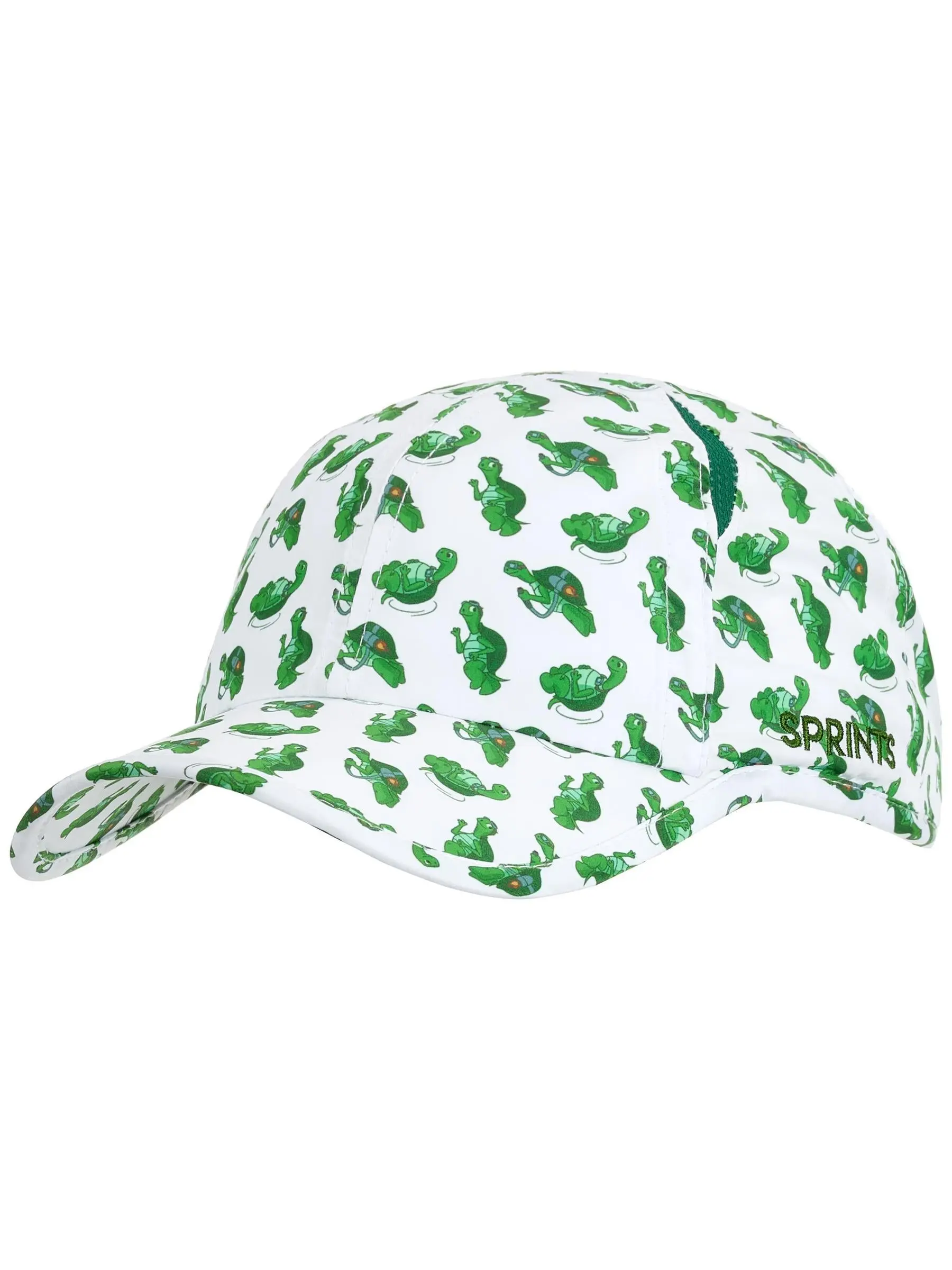 Sprints Turbo Turtle OG Hat