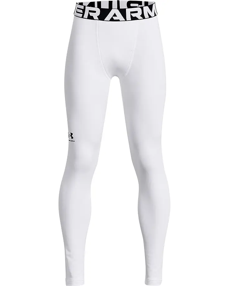 ColdGear Armour Leggings (Big Kids)