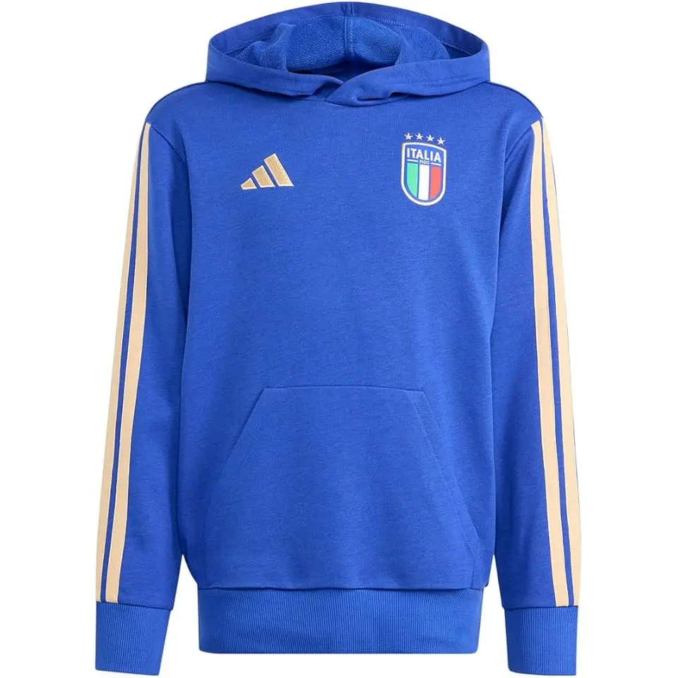 FIGC Italy Alphaskin Hoodie (Little Kid/Big Kid)