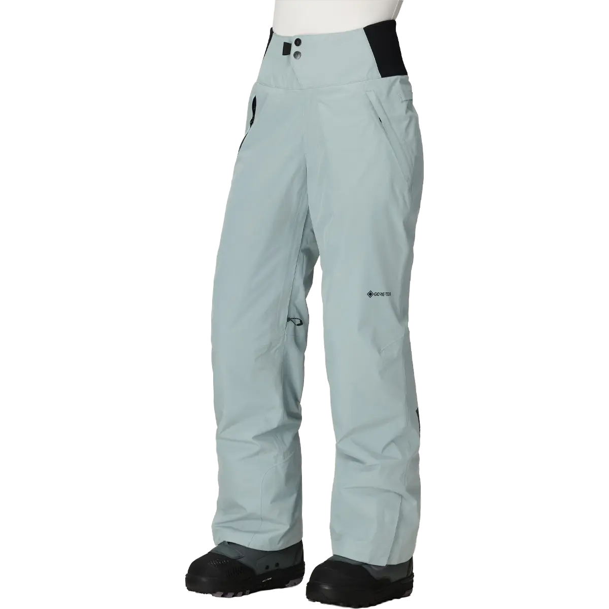 Women's Gore-Tex Willow Insulated Pant